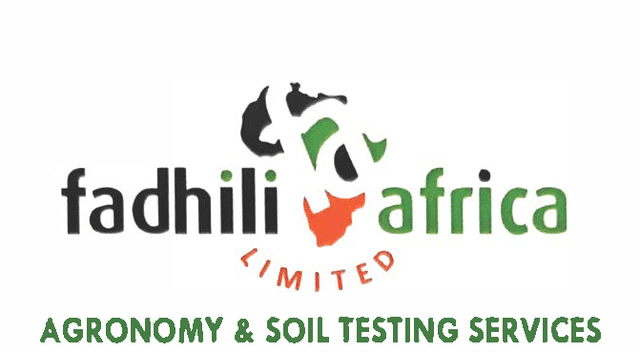 Fadhili Africa Limited